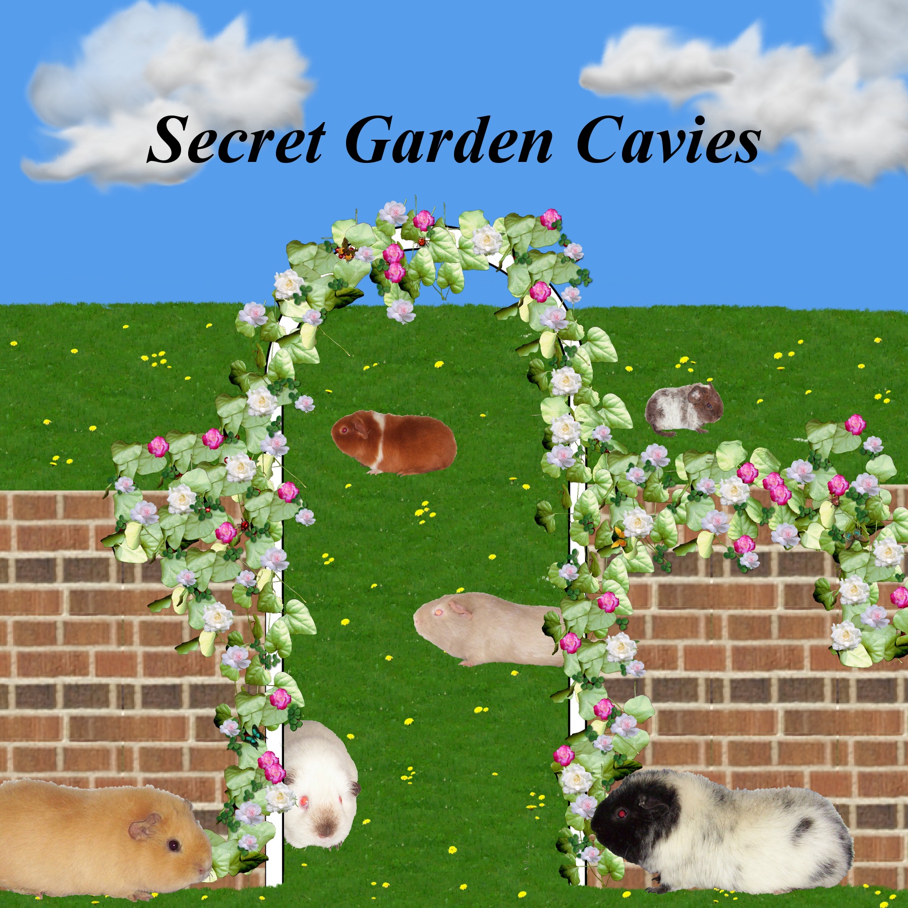 secretgarden.jpg